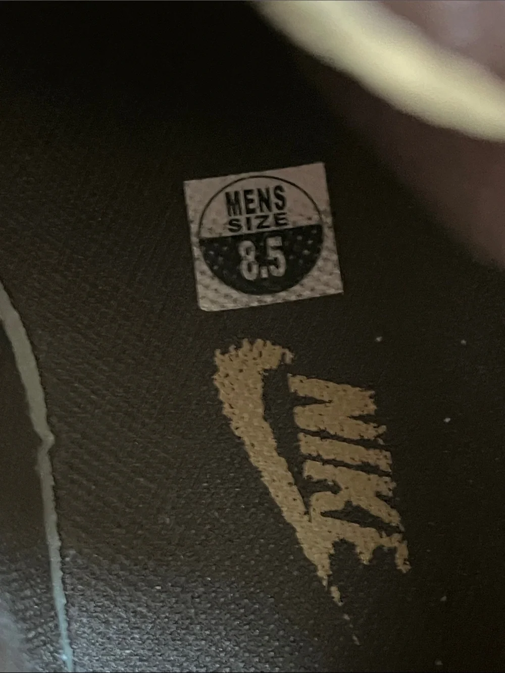 Nike men trail